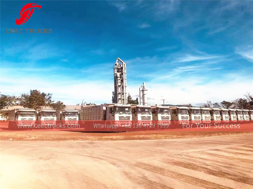 SHACMAN 30T and 50T dump truck export to Africa Guinea SHACMAN 30T and 50T dump truck export to Africa Guinea