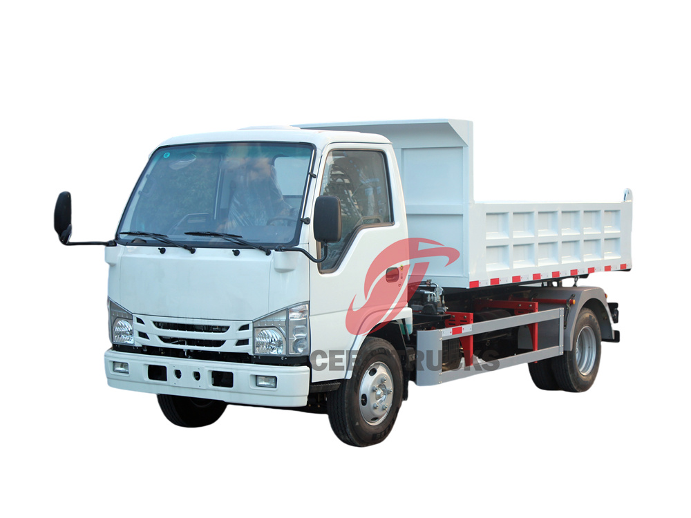 Isuzu NKR small dumper with 3 Ton capacity